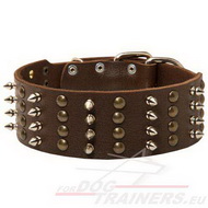 Leather Dog Collar Decorated with Spikes