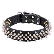 Leather Collar with Spikes