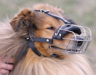 Wire Basket Dog Muzzle for Collie [M4###1057 Museruola a cestello per Collie]