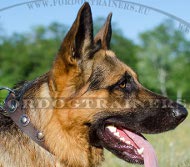 Dog Leather Collar with Embossed Plates