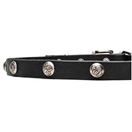 Perfect Fit Leather Collar with "Summer" Studs Perfect Fit Leather Collar with "Summer" Studs