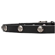 Leren Honden Halsband met Vernikkelde Versiering