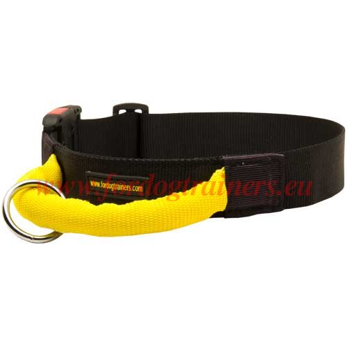 Collier pratique multifonctionnel pour chien