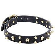 Honden Halsband van Leer met Schedels