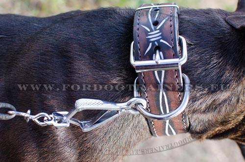 Leder Halsband mit breitem D-Ring