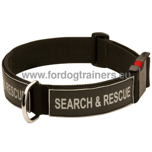 Dog Collar with Patch