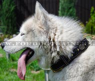 Collier cuir fantaisie pour Husky