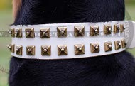 White Leather Collar with Squares for Doberman ✦ White Leather Collar with Squares for Doberman ✦