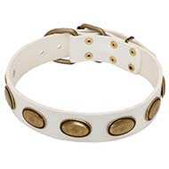 Witte
Halsband met Messing Versiering