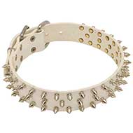 White Leather Spiked Collar