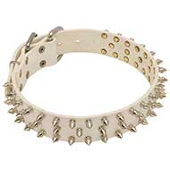 White Dog Collar
Leather and Nickel Spikes White Leather Spiked Collar
