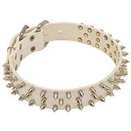 Spiked White Leather Dog collar