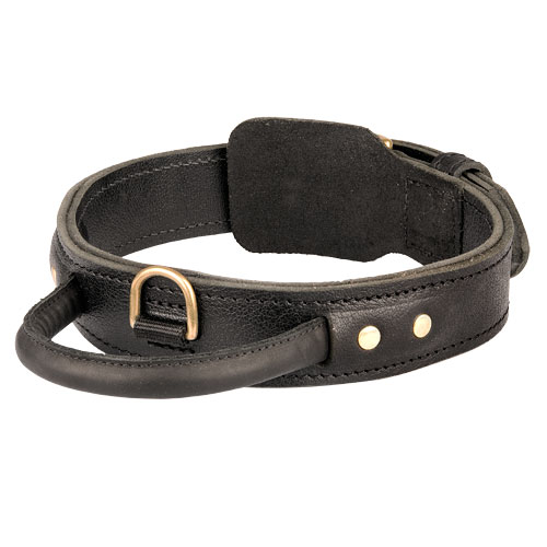 Accessoire de dressage collier pour chien