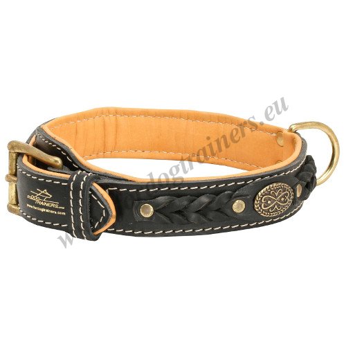 Collier
en cuir pour chien fort