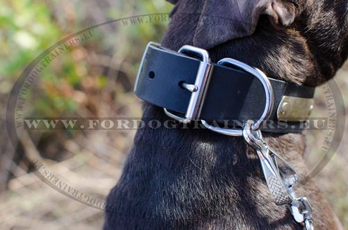 Klassiches Hundehalsband Leder fr Pitbull mit ID Tag