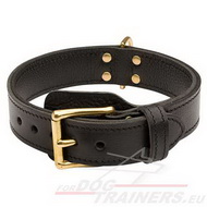 Leather Dog Collar Tearproof with Brass Buckle
