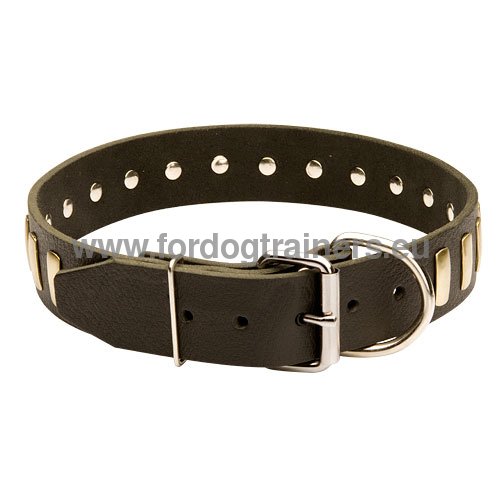 Solid and durable leather dog collar for Bullmastiff