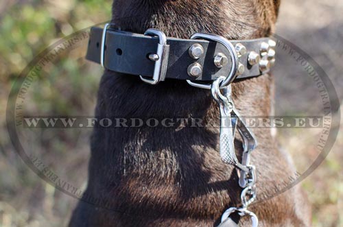 Collier extra fort et fiable pour Pitbull