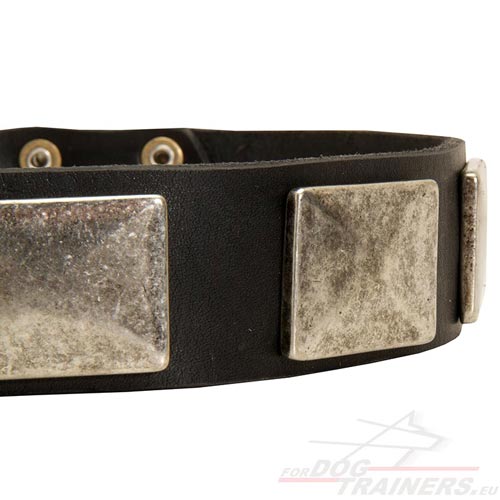 Collier extra classe pour chien