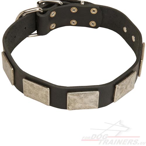 Collier de qualité pour gros chien