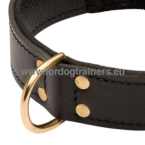Collier extra fort en double cuir pour Berger allemand