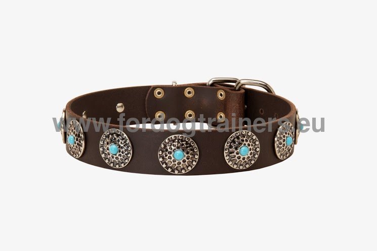 Get Leather Dog Collar, Blue Decorative Stones