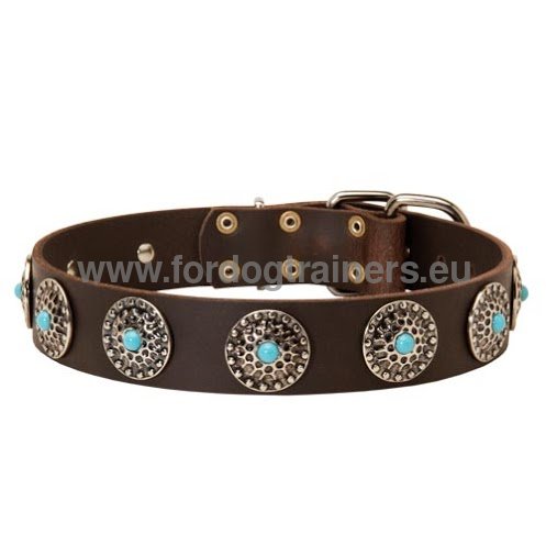 Leater dog collar with silver-like plates