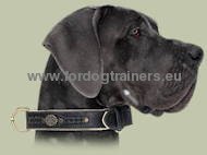 Deutsche Dogge Exklusives Hundehalsband aus Leder