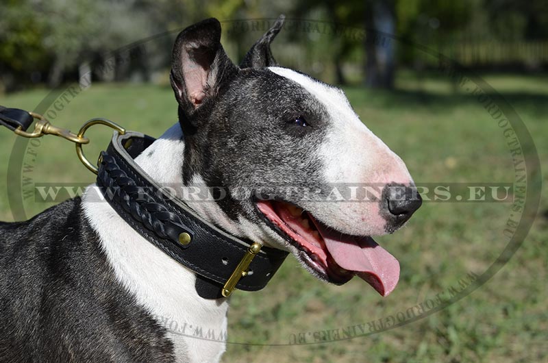 Tresse dog collar