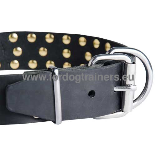 Durable leather collar with spikes
comfy and stylish for Pitbull