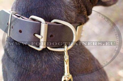 Pitbull Halsband Leder fr Kontrolle