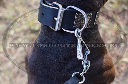 Collier en cuir pour
promenades et contrle du Pitbull