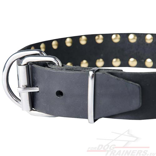 Collier ajustable pour chien