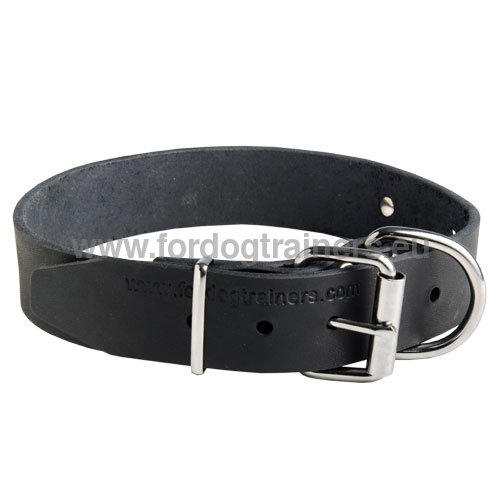 Collier en cuir et acier plaqu nickel pour chien