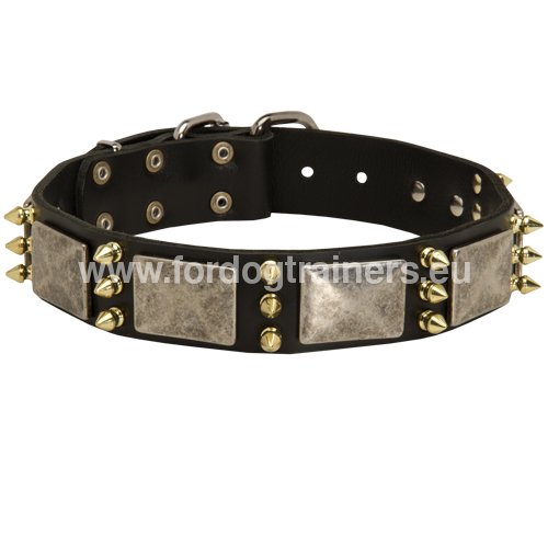Collar for Pitbull decorated leather