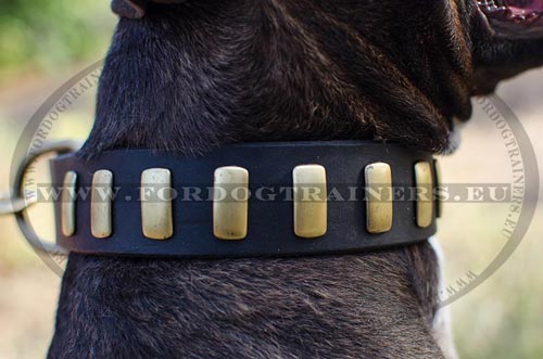 Super Leather Dog Collar