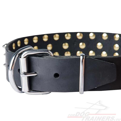 Collier de qualité pour chien