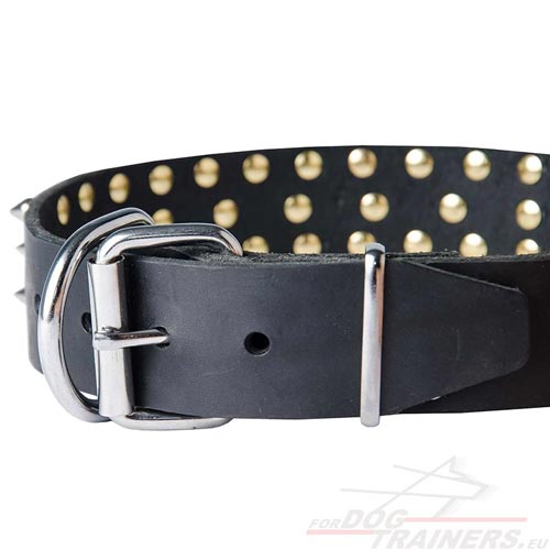 Collier de qualit pour chien