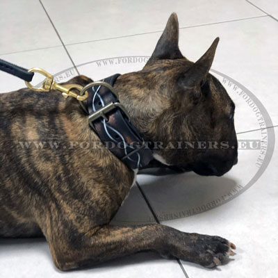 Collier peint  la main pour bull terrier