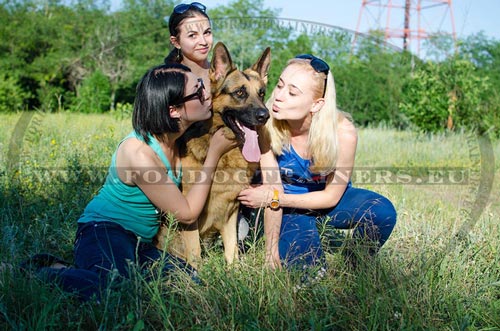 Dog collar for walks with German Shepherd