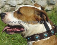 Collier exclusif pour Amstaff | Collier pour chienne⚛ [C75##1057 Collare esclusivo con pietre azzurre per Amstaff]