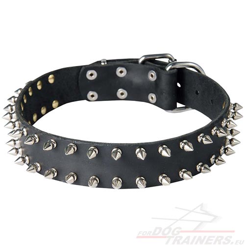 Collier clouté en cuir pour chien