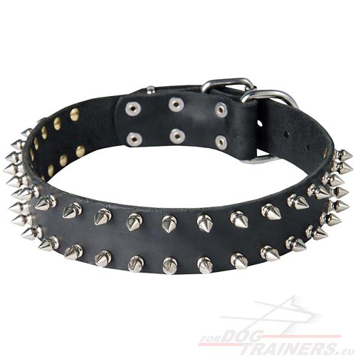 Collier clout en cuir pour chien