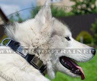 Husky Luxury Collar with Decorative Plates ▤