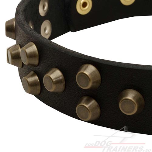 Leather Dog Collar Soft and Reliable