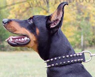 Collare in pelle naturale con borchie a punta per Dobermann