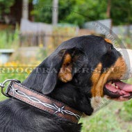 Leather Dog Collar with Design of Barbed Wire