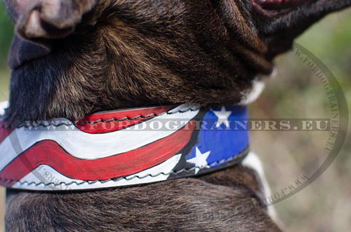 Hundehalsband mit Flagge Muster fr Pitbull