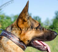 Painted Barbed Wire Collar