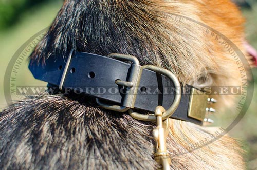 Stylish and
resistant dog collar